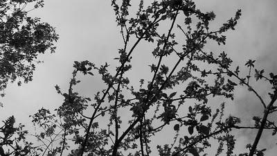 Trop pédaler rend fif !