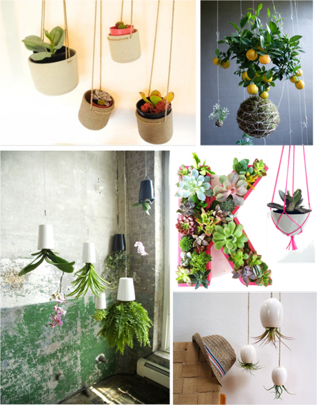 Envie d’un jardin verdoyant et broussailleux ? Le...