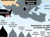 L'hécatombe dauphins dans golfe mexique