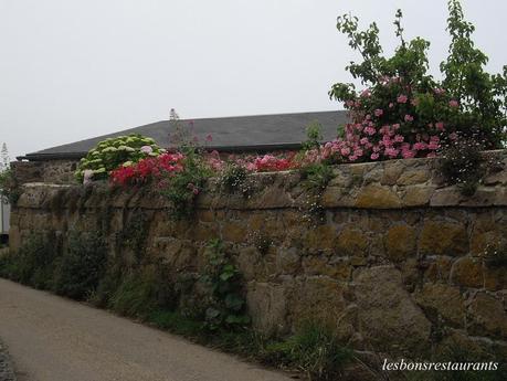 L'ÎLE DE BRÉHAT(22)-Nos premiers pas sur l'Île