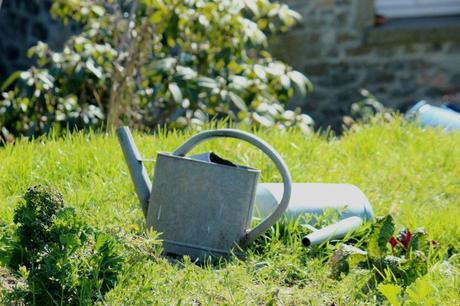 A la découverte de la ferme aux cinq saisons et de François Thiebot