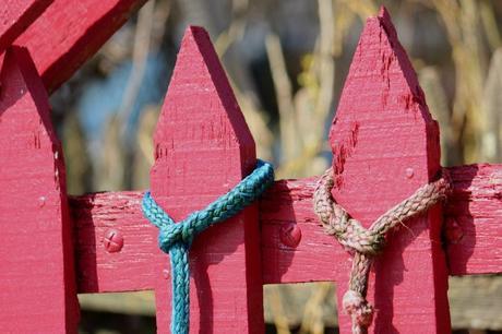 A la découverte de la ferme aux cinq saisons et de François Thiebot