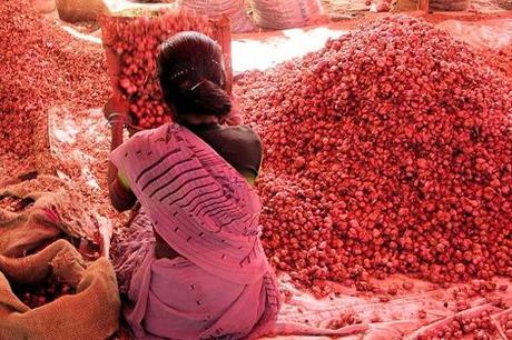 marche madurai 380234 Inde : Notre planète n’est pas à vendre