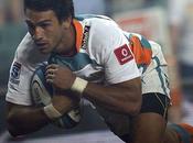 Springboks Analyse premier groupe 2013