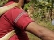 Civilité incivilités