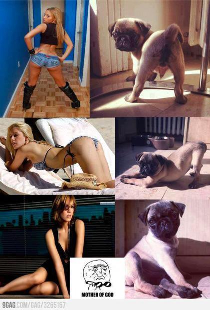 AH C'EST CA LES ORIGINES DU TWERK ?!