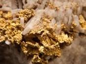 gisements d'or instantanés
