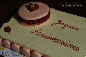 bavarois_framboise_chocolat_blanc_macaron_plan