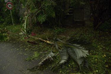 De nombreux arbres couchés suite à Dumile... Des routes impraticables...