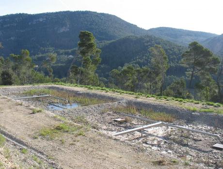 Vie scolaire – suite – 5