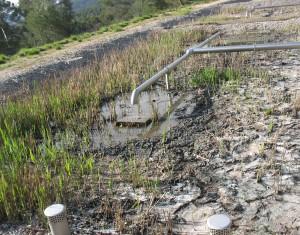 Vie scolaire – suite – 5