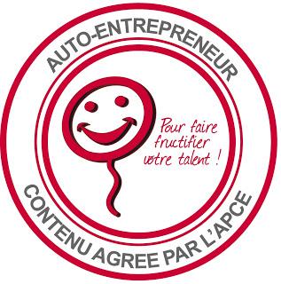 Rapport d’évaluation des auto-entrepreneurs.