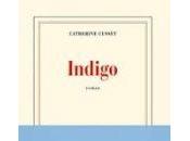 Indigo Catherine Cusset