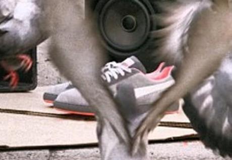 puma-clyde-pigeon-staple-release-date-1