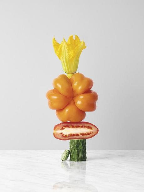 c707a98e209f11afe0e836ed76db15bc