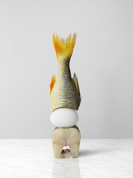 28a7ad45d2e7fe9f876524359c19a078