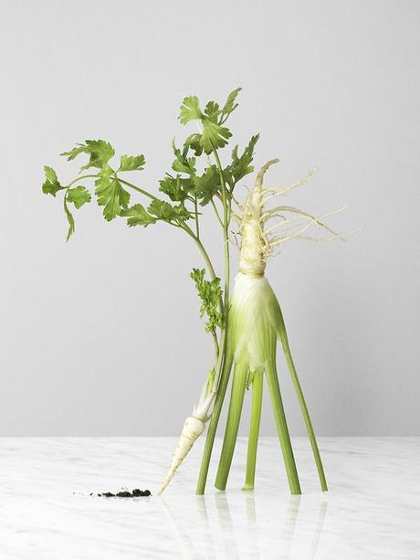 0ed92ef2f263cc2c9286df50eb26d7fe