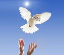 L'action exemplaire du président islandais face aux banquiers