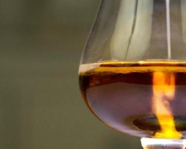 SEMENOLOGY : LE LIVRE DE RECETTES DE COCKTAILS A BASE DE SPERME