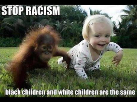 FACEBOOK REFUSE DE RETIRER UNE PHOTO RACISTE D'UN ENFANT NOIR MONTRE COMME UN SINGE (Stop racism : black children and white children are the same)