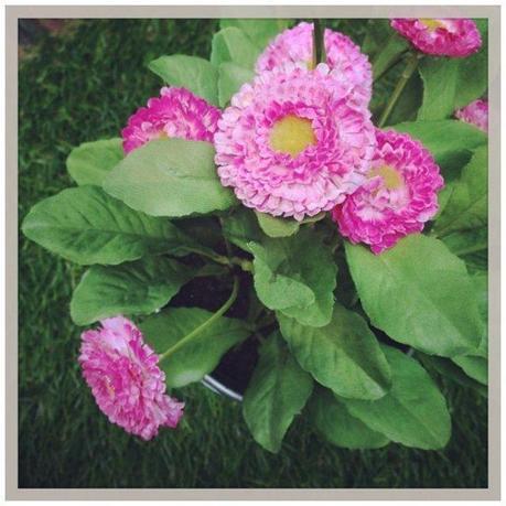 7 jours en Instagram avec du cadeau fleuri dedans 7 jours en Instagram avec du cadeau fleuri dedans