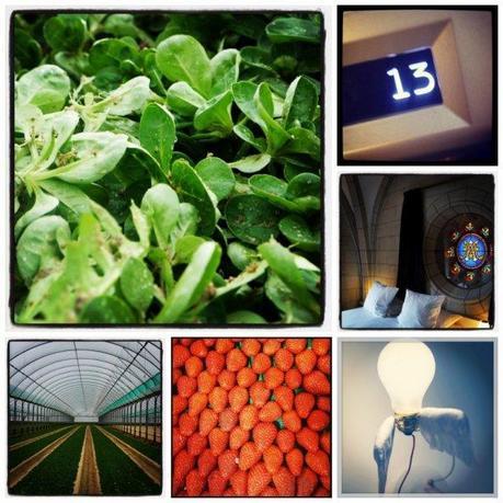 7 jours en Instagram avec du cadeau fleuri dedans 7 jours en Instagram avec du cadeau fleuri dedans