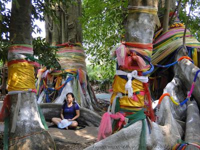 Thaïlande : Les esprits des grands arbres [HD]