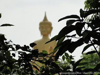Thaïlande : Les esprits des grands arbres [HD]
