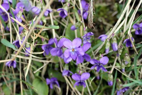 Contre la pensée unique