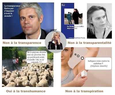 LES GRRR DE MORANO...