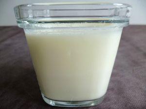 yaourts maison au bifidus sans sucre (pour 8 pots) P1010267