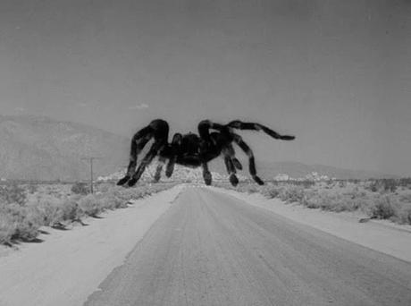 Arachnida poetica Après It Came from Outer Space (1953) e...