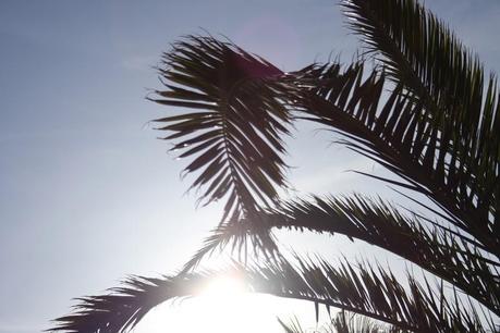 CLAQUETTES première partie.