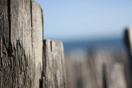 CLAQUETTES première partie.