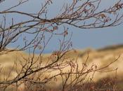 Photo dimanche nature