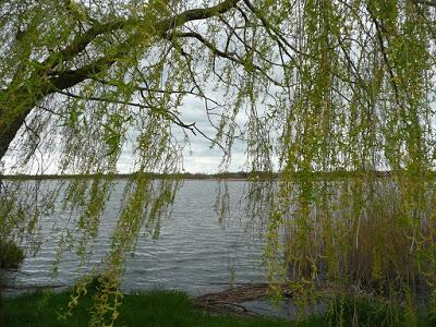 Etangs de la Gabrière