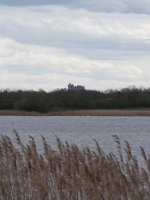 Etangs de la Gabrière