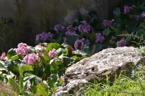 C’est le printemps