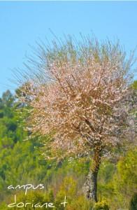 C’est le printemps