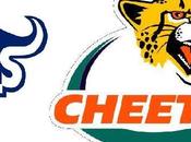 Bulls Cheetahs