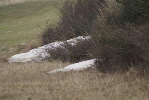 charnier de neige