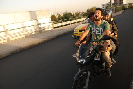 les-chats-persans-kasi-az-gorbehaye-irani-khabar-nadareh-no-one-knows-abo-1-g