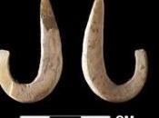 Premières preuves pêche haute