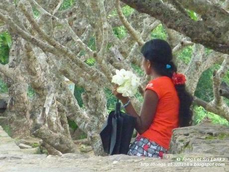 Conseils aux femmes voyageant seules au Sri Lanka !