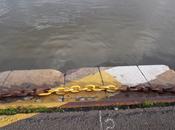 allez-y voir vous même