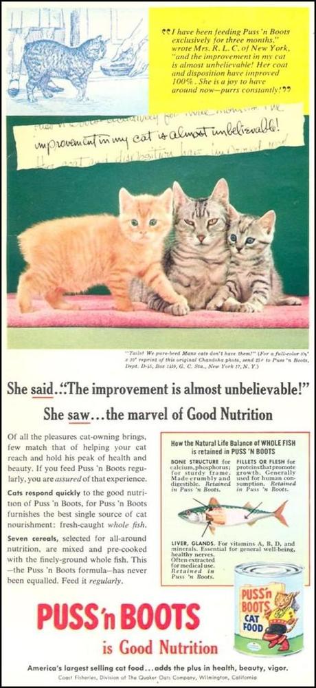 Les neuf vies du chat botté, et plus !