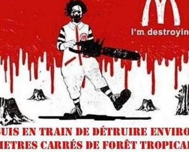 17m2 de forêt et 1 hamburger !... wesh wesh