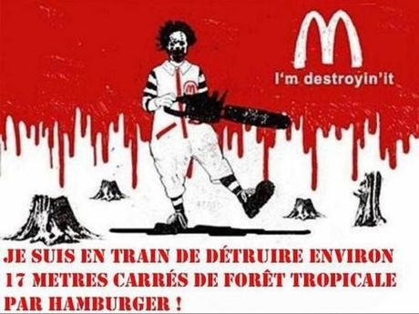 Wesh...  17m2 de forêt pour 1 hamburger