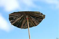 MINIMAL MANIAC #11 MINIMAL MANIAC #11