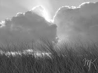 MINIMAL MANIAC #11 MINIMAL MANIAC #11